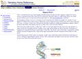 Explanation of DNA