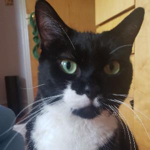 10806203 | Tutor in Anatomy and Physiology, Earth Science, Midlevel (7-8) Science, MS Excel | 10805620