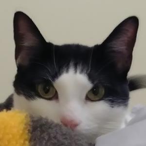 10959158 | Tutor in Biology | 10958572