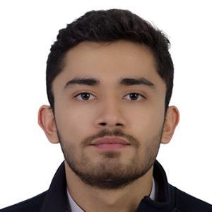 11028800 | Tutor in Algebra, Algebra 2, Calculus, Elementary (3-6) Math, Geometry, Midlevel (7-8) Math, Pre-Calculus | 11028214