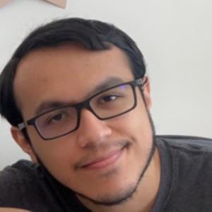 11241931 | Tutor in Essay Writing | 11241342