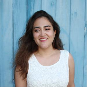 11335113 | Tutor in Essay Writing, Essay Writing | 11334520