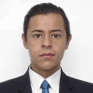 11485417 | Tutor in Calculus, Calculus BC, Chemistry, Physics, Spanish | 11484743