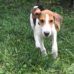 12292323 | Tutor in Essay Writing | 12291574