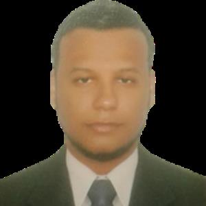 12311011 | Tutor in Algebra, Calculus, Elementary (3-6) Math, MS Excel, Statistics | 12310262