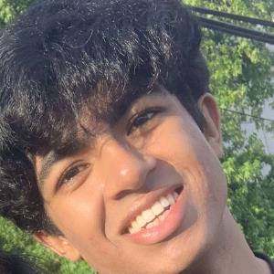 12978131 | Tutor in Essay Writing, Statistics | 12977162