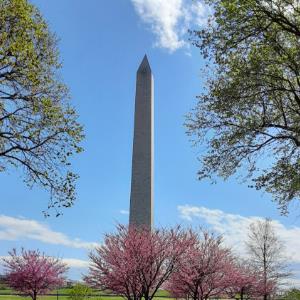 13193320 | Tutor in Essay Writing, Statistics | 13192334