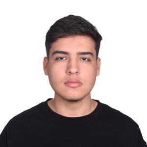 13197774 | Tutor in Calculus, Computer Science Java, Statistics, Technology - Computer Fundamentals | 13196788