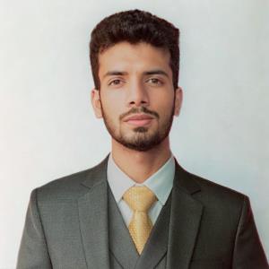 13626640 | Tutor in Essay Writing, Statistics | 13625635