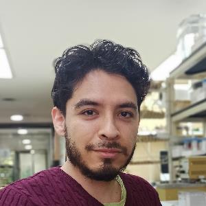 13701063 | Tutor in Chemistry, Spanish | 13700049
