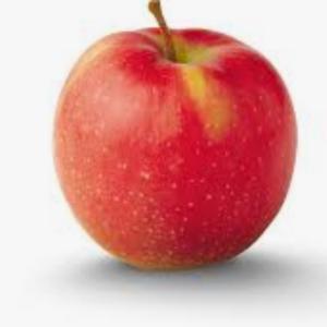 1567439 | Tutor in Algebra 2, Calculus, Finite Mathematics, Statistics, Trigonometry | 1567498