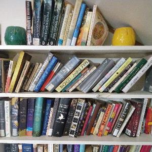 378053 | Tutor in Essay Writing, Literature | 378053