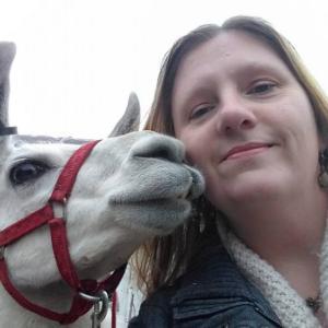 5114874 | Tutor in Essay Writing | 5114926