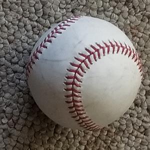 5280726 | Tutor in Calculus, Discrete Mathematics, Computer Science Java | 5280778