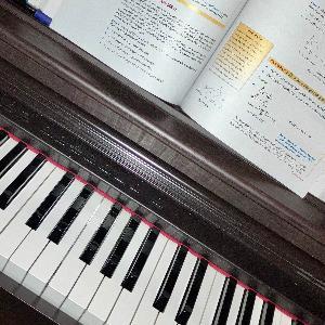 8617415 | Tutor in Algebra, Algebra 2, Calculus, Pre-Calculus, Statistics, Trigonometry | 8617467