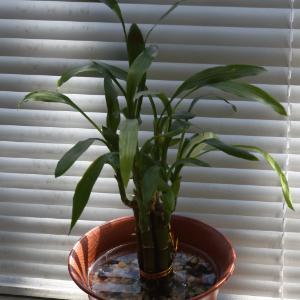 876275 | Tutor in Algebra, Algebra 2, Geometry, Pre-Calculus, Trigonometry | 876274