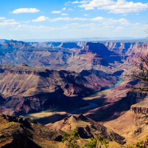 9347771 | Tutor in ELL, English, Essay Writing, Literature, MS Word | 9347805