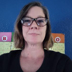 9702721 | Tutor in Elementary (3-6) Reading, English, Essay Writing | 9702730