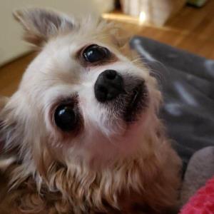 9745957 | Tutor in English, Essay Writing | 9745957